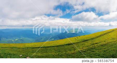 beautiful panorama of a summer landscape 56538754