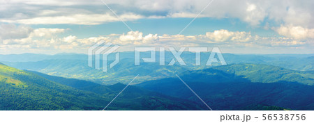 beautiful panorama of a summer landscape beautiful panorama of a summer landscape 56538756