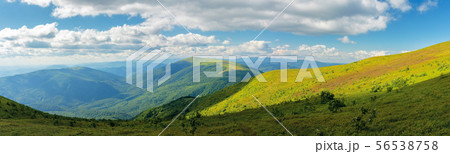 beautiful panorama of a summer landscape 56538758