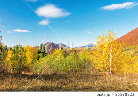 beautiful autumn scenery in mountains beautiful autumn scenery in mountains 56538922