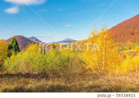 beautiful autumn scenery in mountains beautiful autumn scenery in mountains 56538923