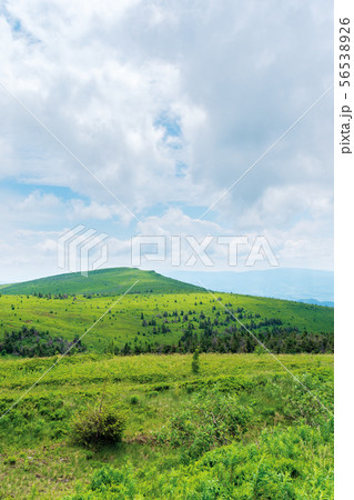 beautiful summer scenery on a cloudy day beautiful summer scenery on a cloudy day 56538926