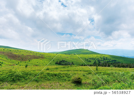 beautiful summer scenery on a cloudy day 56538927