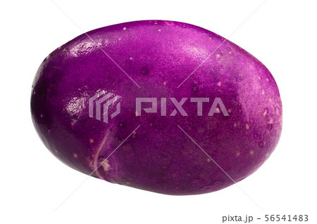 Blue danube potato s. tuberosum whole,  paths 56541483