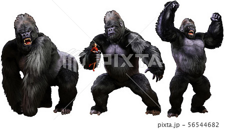 Giant Monstrous Gorilla 3d Illustrationのイラスト素材