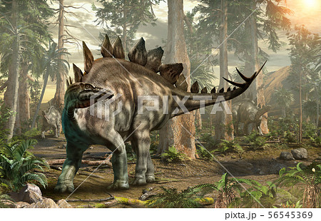 Stegosaurus forest scene 3D illustration 56545369