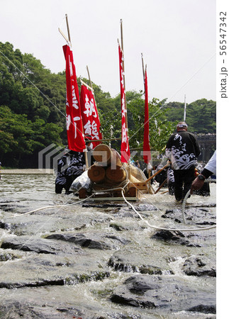 伊勢神宮の行事　川曵きと五十鈴川　御木曳き行事　遷宮行事　 56547342