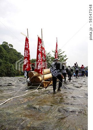 伊勢神宮の行事　川曵きと五十鈴川　御木曳き行事　初穂曳き　神嘗祭　遷宮行事イメージ　 56547348