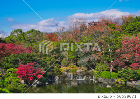 万博記念公園の日本庭園の写真素材