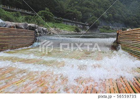 ヤナ場（鮎漁） 56559735