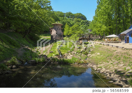 新緑のあけぼのこどもの森公園 池の上の青い建物内からの風景 新緑のあけぼのこどもの森公園 池の上の青い建物内からの風景 56568599
