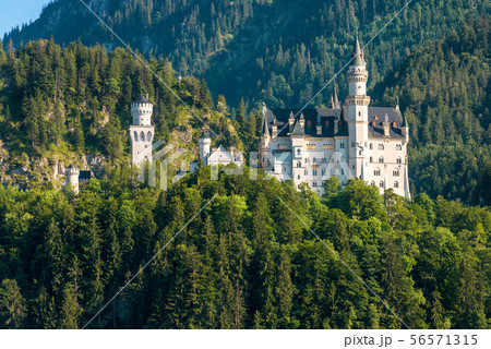 Neuschwanstein Castle in Bavaria, Germany 56571315