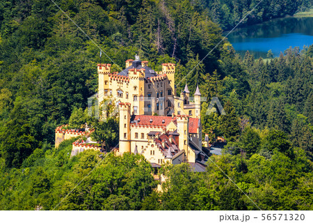 Hohenschwangau Castle near Fussen, Bavaria, 56571320