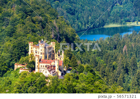 Hohenschwangau Castle near Fussen, Bavaria, 56571321