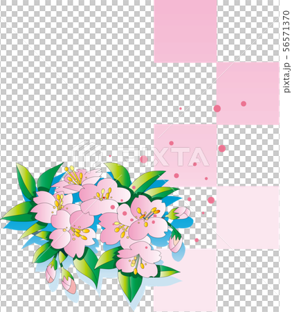 Cherry blossoms and lattice background Cherry blossoms and lattice background 56571370