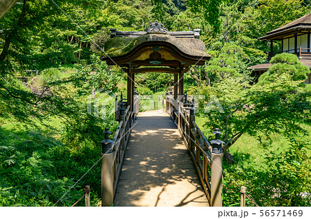 三渓園 亭榭 56571469