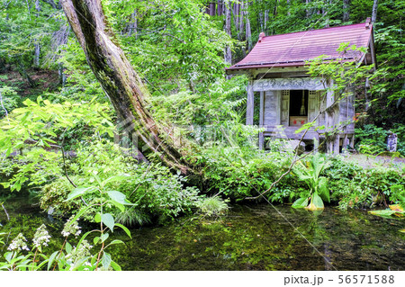 八大龍王権現 56571588