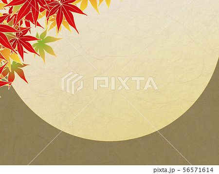 紅葉 紅葉 56571614