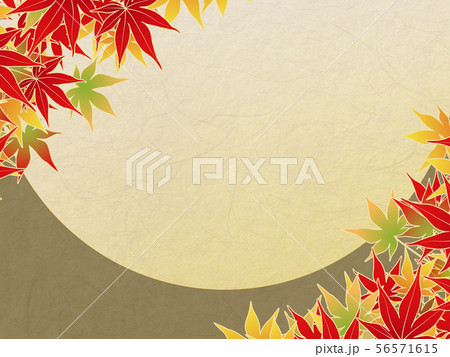 紅葉 紅葉 56571615