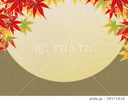 紅葉 紅葉 56571616