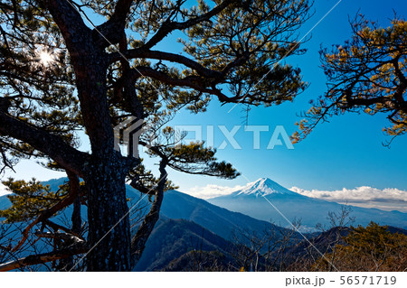 清八山から見る冬の富士山 清八山から見る冬の富士山 56571719