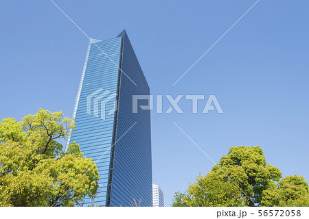ビルと新緑 56572058