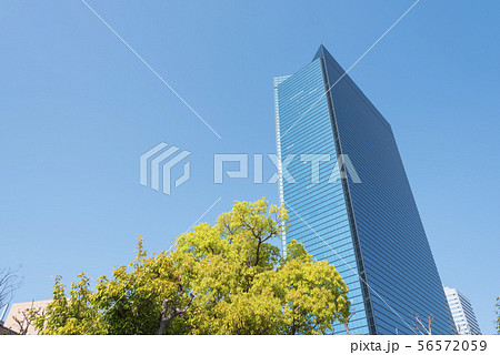 ビルと新緑 56572059