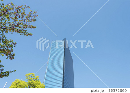 ビルと新緑 ビルと新緑 56572060