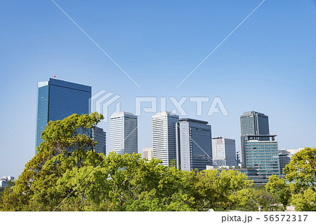 大阪ビジネスパーク ビル群 ビル 建物 青空 大阪ビジネスパーク ビル群 ビル 建物 青空 56572317