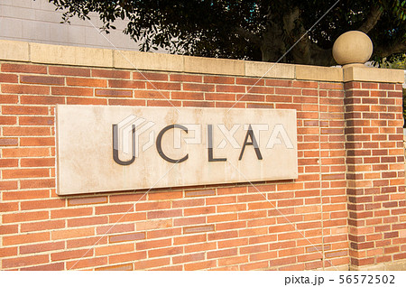 ロサンゼルス UCLA 大学 ロサンゼルス UCLA 大学 56572502