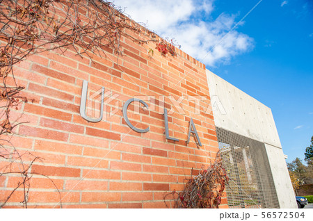 ロサンゼルス　UCLA 大学 56572504