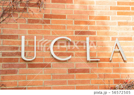 ロサンゼルス　UCLA 大学 56572505