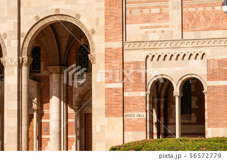 ロサンゼルス　UCLA 大学 56572779