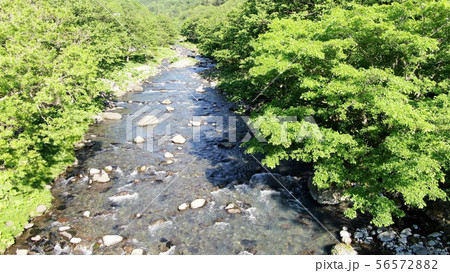 知床の赤イ川 56572882