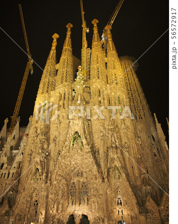 サグラダ・ファミリア 56572917
