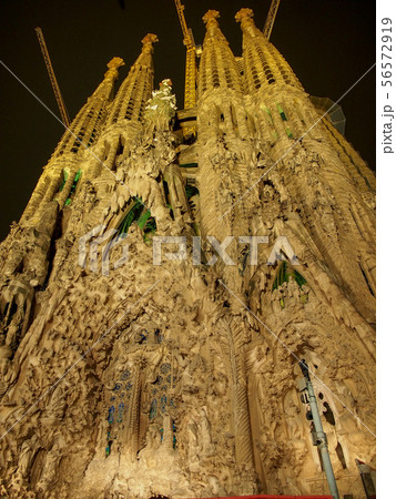 サグラダ・ファミリア 56572919