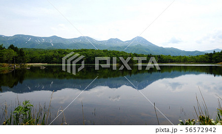 知床五湖の二湖 知床五湖の二湖 56572942