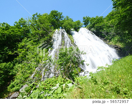 オシンコシンの滝 56572957