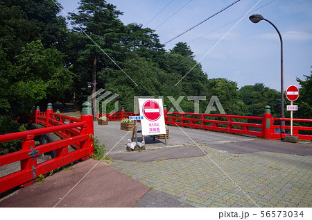高岡城の駐春橋 高岡城の駐春橋 56573034