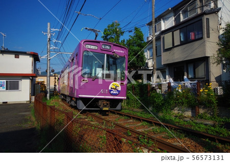 嵐電の紫色の電車 56573131