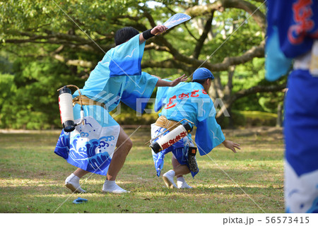 本場徳島阿波踊り　男踊り 56573415