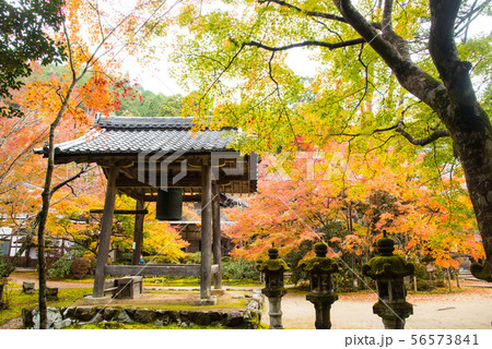 京都 槇尾山西明寺の紅葉 京都 槇尾山西明寺の紅葉 56573841