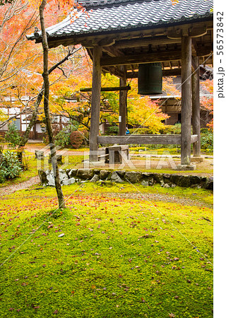 京都 槇尾山西明寺の紅葉 京都 槇尾山西明寺の紅葉 56573842
