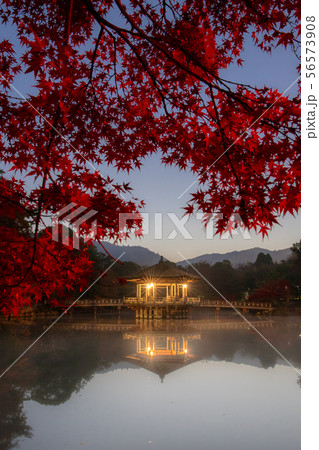 夜明けの浮見堂 56573908