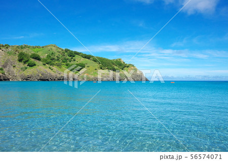 小港海岸（父島） 56574071