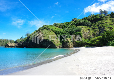 小港海岸（父島） 56574073