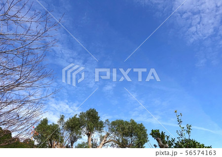 大空　青空　秋空　秋天　 グラデーション　雲　空 56574163
