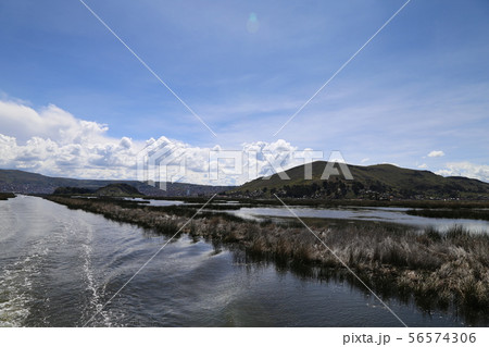 トトラ チチカカ湖 トトラ チチカカ湖 56574306