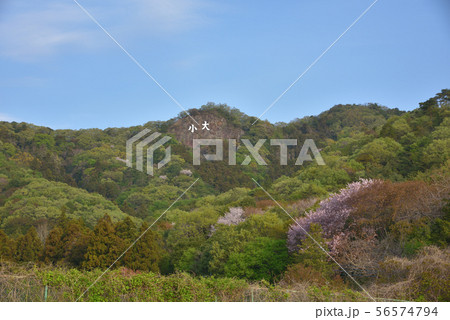 大小山登山口駐車場から見る山桜咲く新緑の大小山 大小山登山口駐車場から見る山桜咲く新緑の大小山 56574794