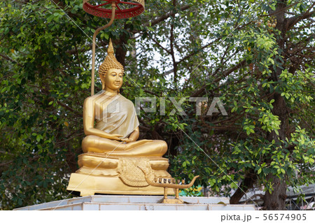Golden Statue Buddha on bokeh tree background. 56574905
